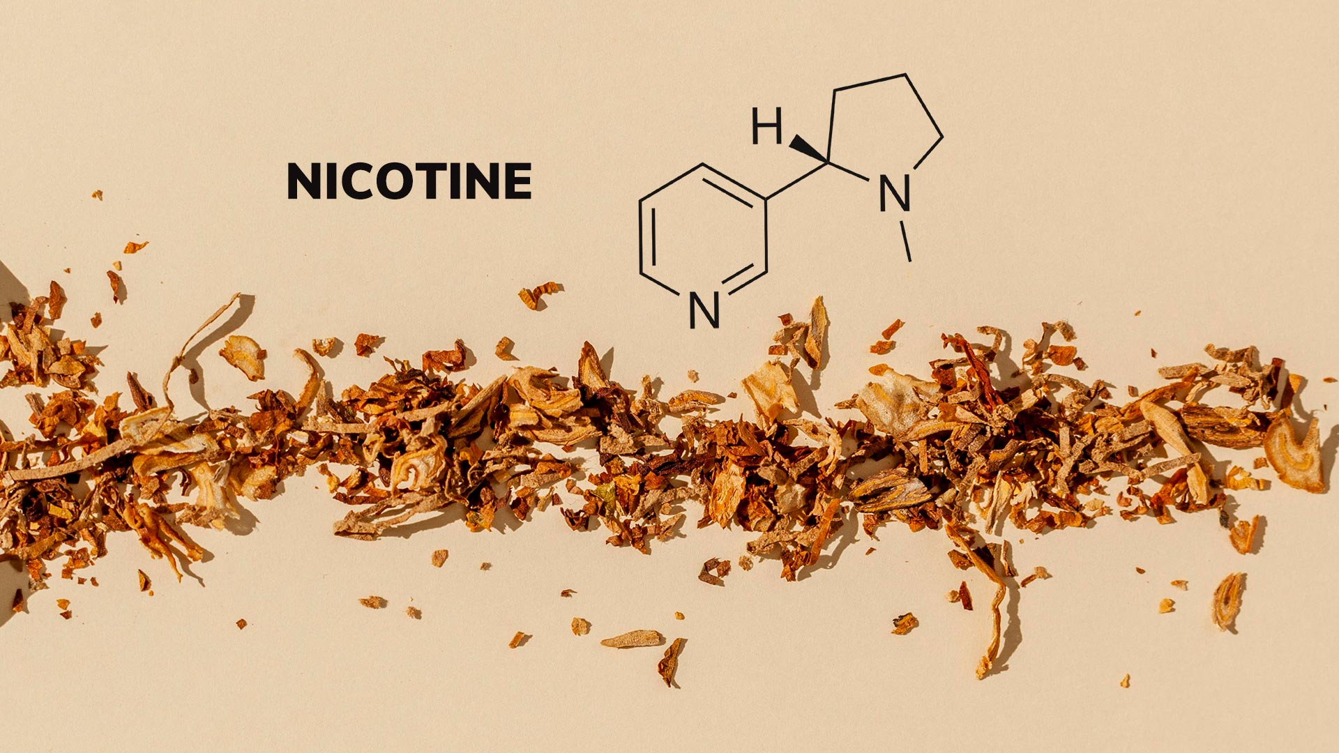 Where Does Nicotine Come From?