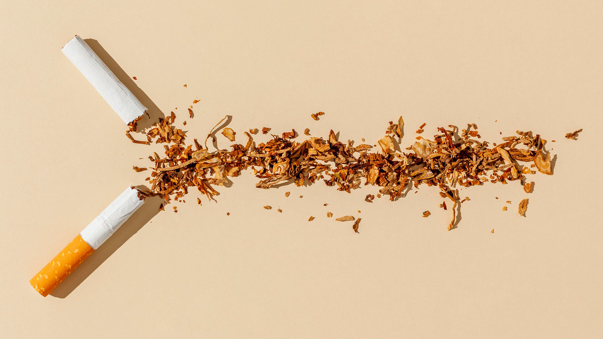 Broken cigarette with tobacco scattered on a light background, illustrating the topic of measuring nicotine content in cigarettes.